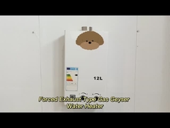 Digitaal instelbare temperatuur gedwongen uitlaatgas waterverwarmer Hoog rendement 12L - 24L